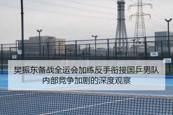 樊振东备战全运会加练反手衔接国乒男队内部竞争加剧的深度观察