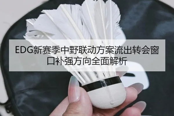 EDG新赛季中野联动方案流出转会窗口补强方向全面解析