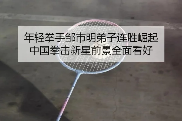 年轻拳手邹市明弟子连胜崛起 中国拳击新星前景全面看好